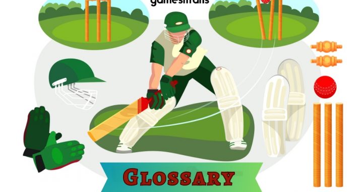 Glossary of cricket